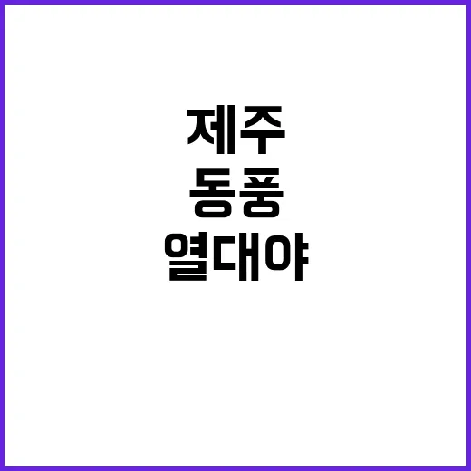 동풍 한파 동해안 …