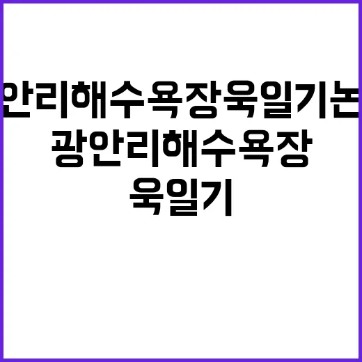 광안리해수욕장 욱일기 논란 70대 남성 정체는?