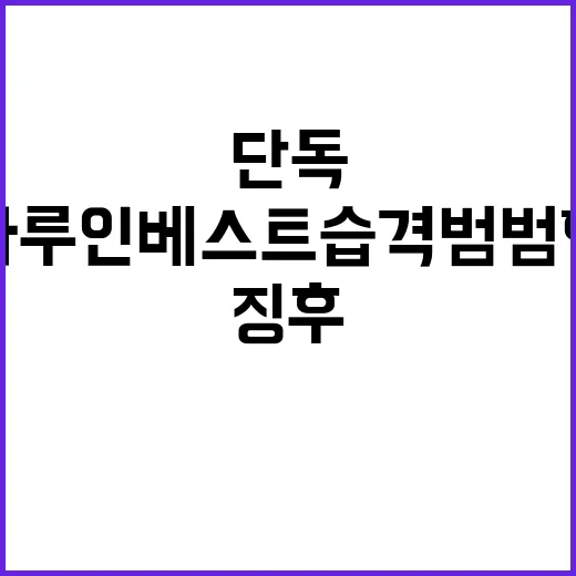 단독 하루인베스트 …