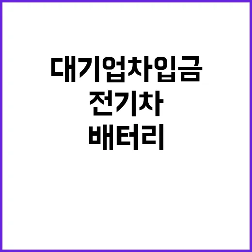 배터리 대기업 차입…