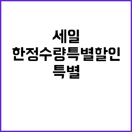 클로징 세일 한정 수량 특별 할인!