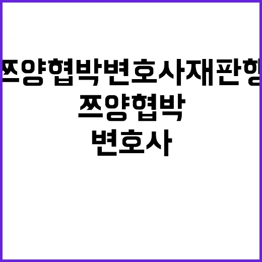 혼전 동거 논란 쯔양 협박 변호사 재판행