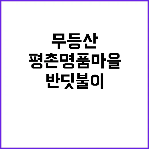 무등산 반딧불이 명…