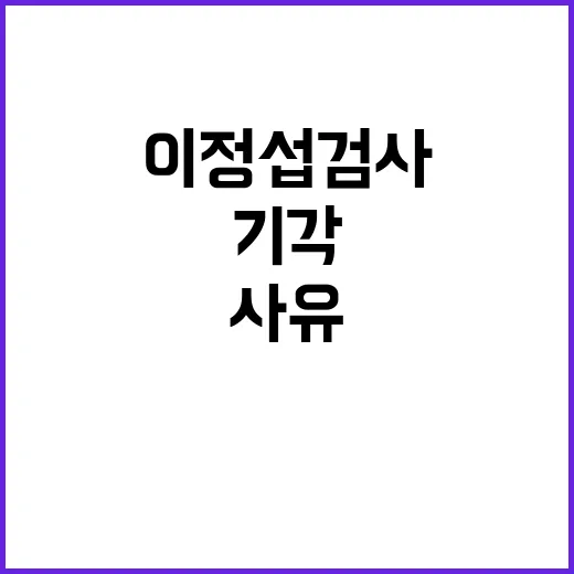 이정섭 검사 기각판…