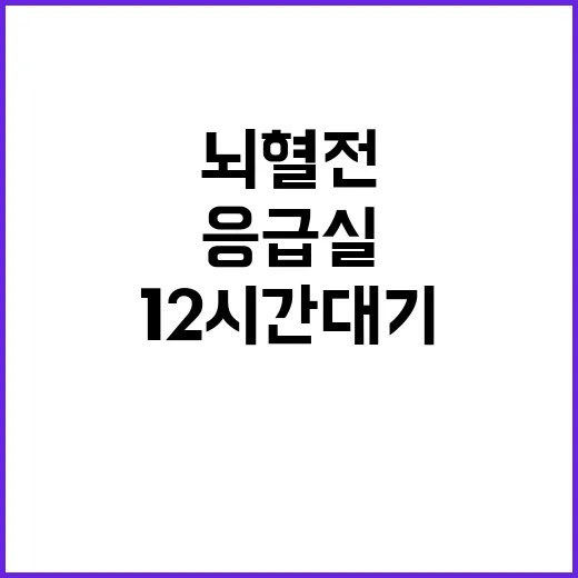 뇌혈전 환자 응급실 12시간 대기 현실