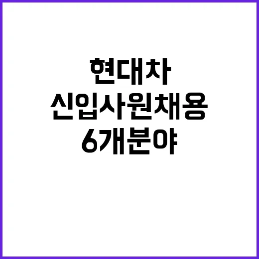 현대차 신입사원 채…