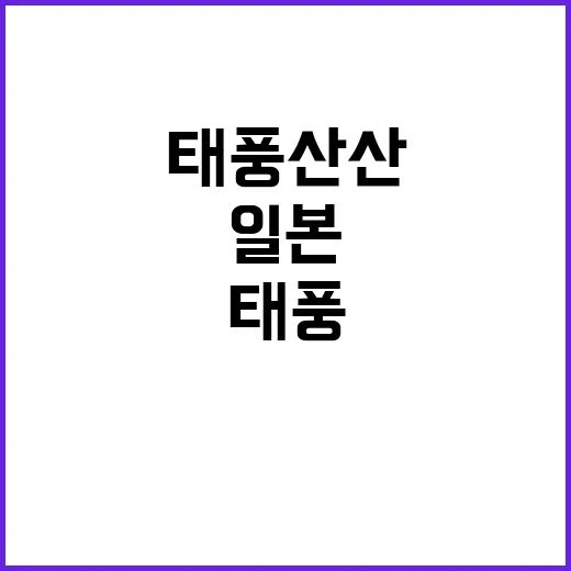 일본 태풍 산산 재…