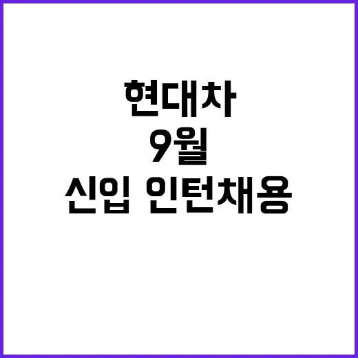 현대차 신입·인턴 채용 36개 직무 9월 114일 접수!