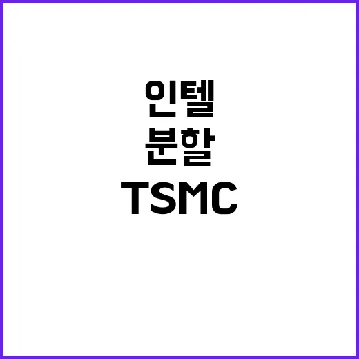 인텔 분할 TSMC…