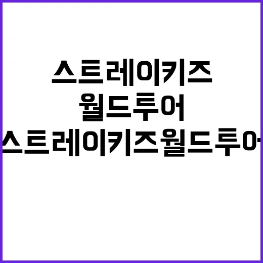 스포티파이 스트레이…