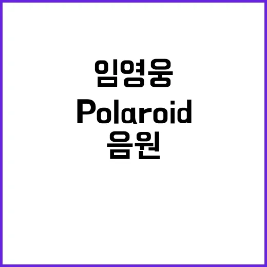 임영웅 Polaro…