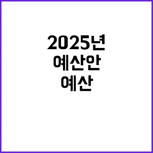 2025년 예산 나의 미래와 예산안 핵심 사업 8가지