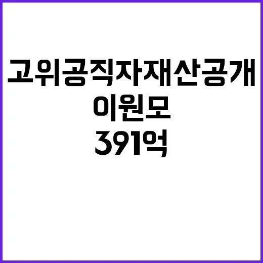 고위공직자 재산 공개 이원모 391억!