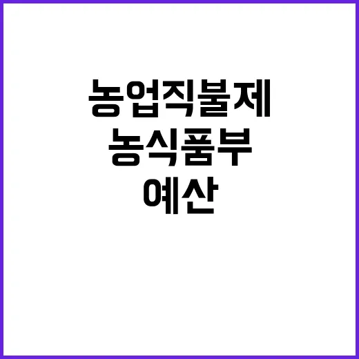 농업직불제 예산 증…