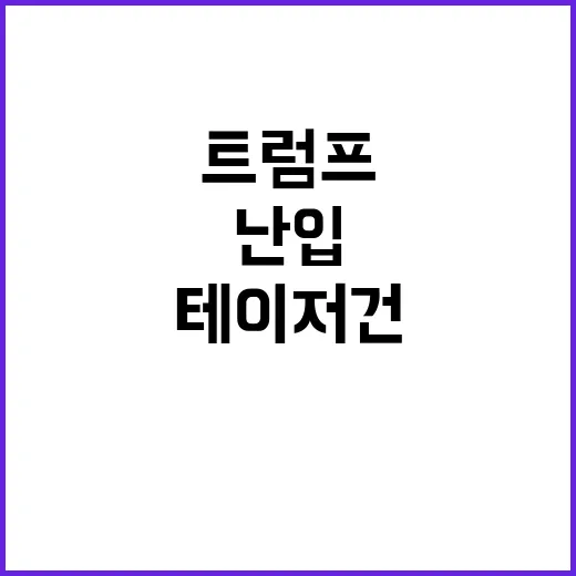 트럼프 유세 언론구역 난입 남성 테이저건 제압