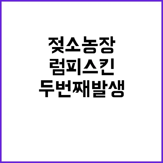 럼피스킨 이천 젖소…