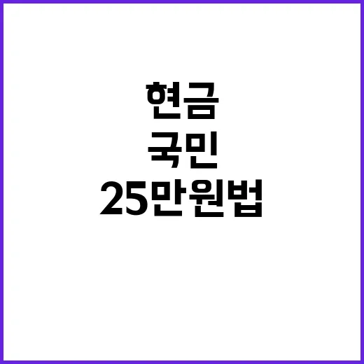 25만원법 국민 현금 파티