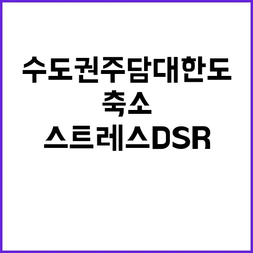 스트레스 DSR 수도권 주담대 한도 축소 주의!