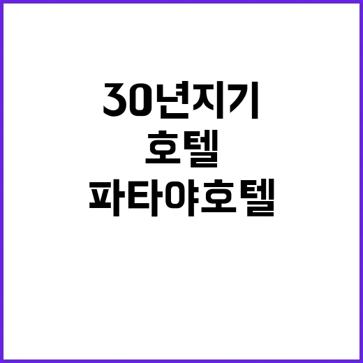 파타야 호텔 미스터…