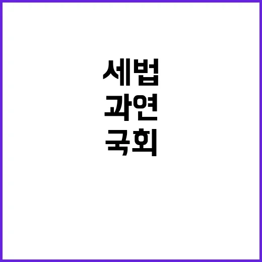 정기국회 세법심사 …