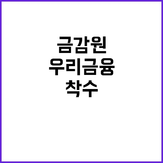 금감원 우리금융·은행 정기검사 착수!