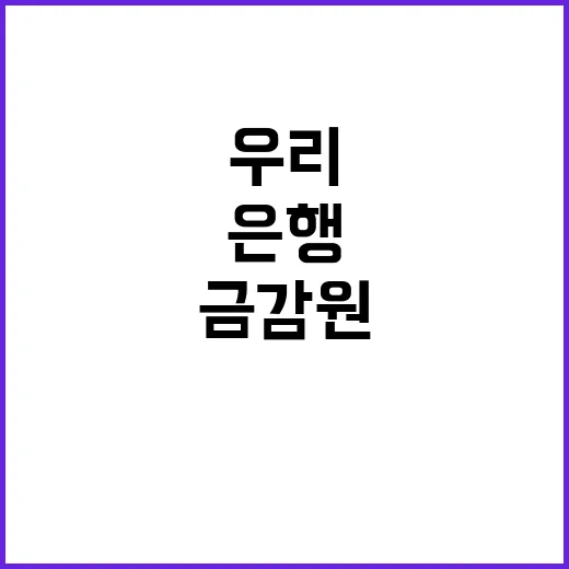 금감원 조사 우리금…