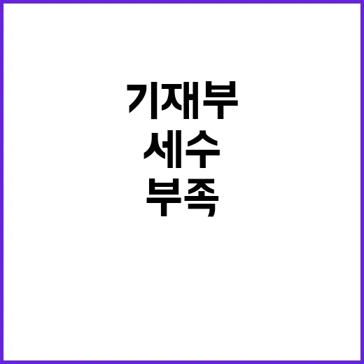 세수 부족 기재부의 해결책은?