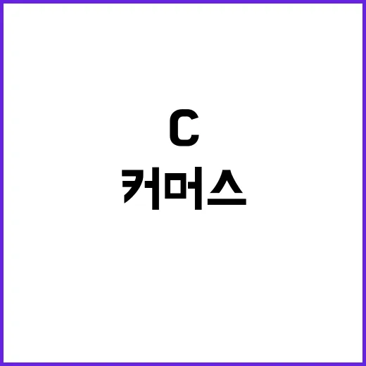 C커머스 vs K플랫폼 생존전략 공개!