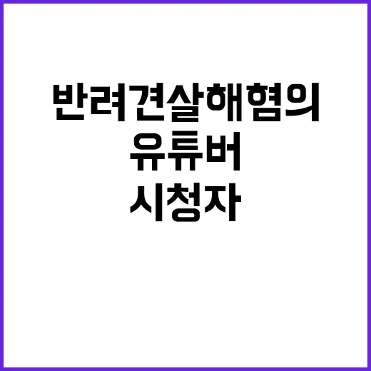 유튜버 13세 시청…