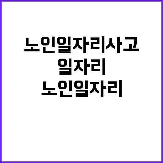 복지부 노인일자리 사고 관리 처우 향상의 비밀