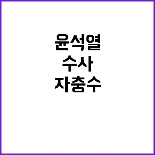 윤석열 문재인 수사…