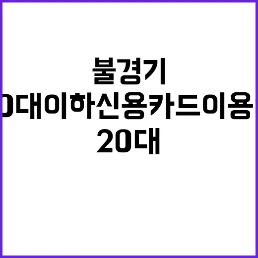 불경기 충격 20대 이하 신용카드 이용액 감소