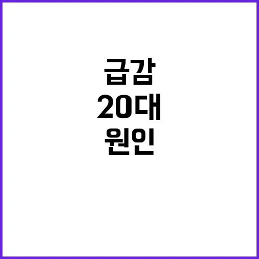 20대 신용카드 사…