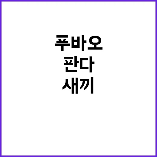 푸바오 엄마? 새끼…