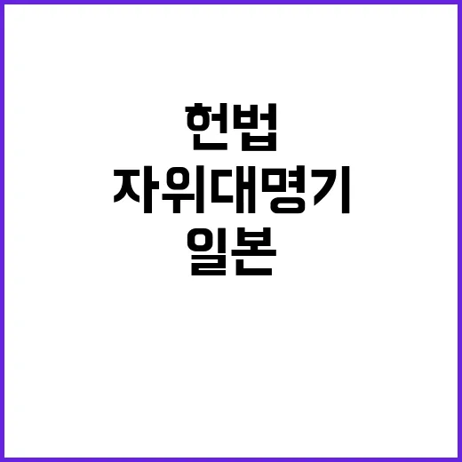 일본 헌법 자위대 …