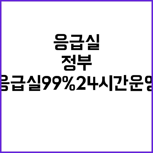 정부 응급실 99% 24시간 운영! 안심하시길