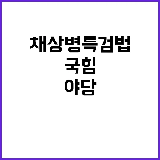 채상병특검법 논쟁 …