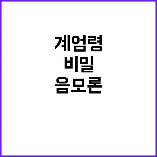 계엄령 음모론 정당의 충격적 비밀