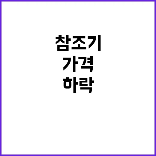 참조기 가격 하락 소비자 대박 찬스!