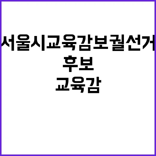 서울시교육감 보궐선거 진보진영 후보 출마 러쉬!