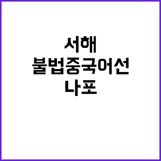 서해 불법 중국 어…