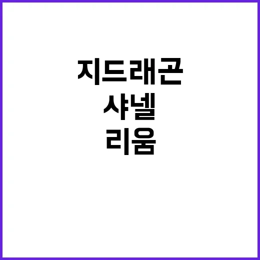 샤넬 지드래곤·하정…