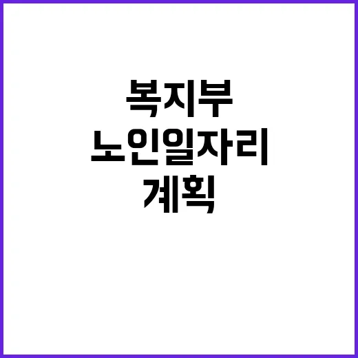 노인 일자리 정책 복지부 계획과 전망