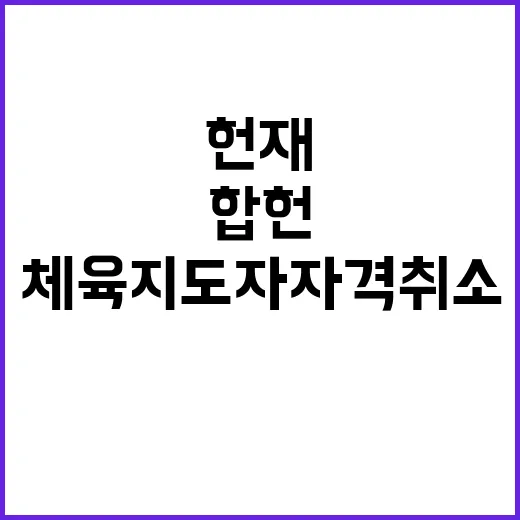 헌재 판결 체육지도…