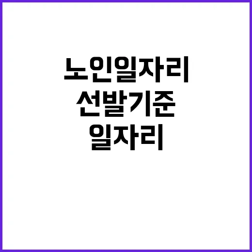 노인일자리 선발 기…