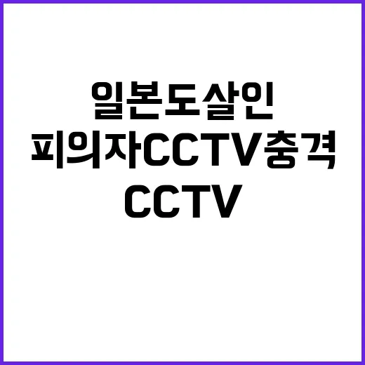 일본도 살인 피의자 CCTV 충격 모습!