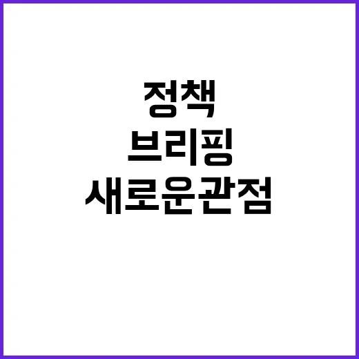 정책 새로운 관점 …