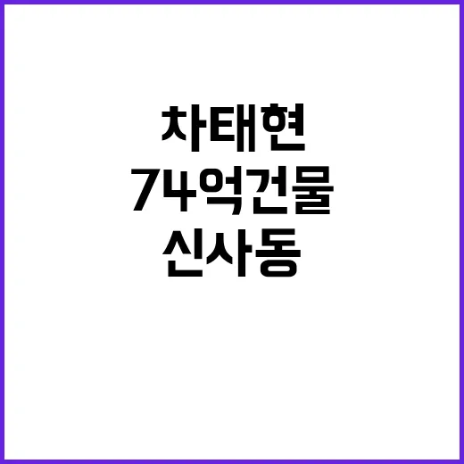 차태현 강남 신사동 74억 건물 구매!