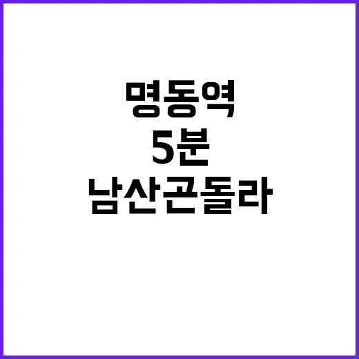 남산 곤돌라 명동역…