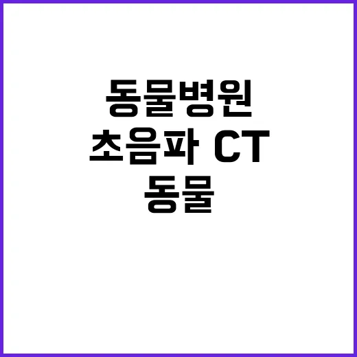 동물병원 초음파·CT 비용 공개 선택권 강화!